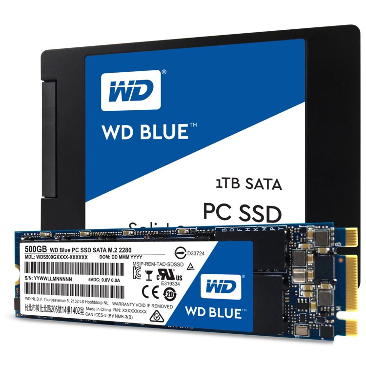 WD_SSD_Blue_Green_3.jpg