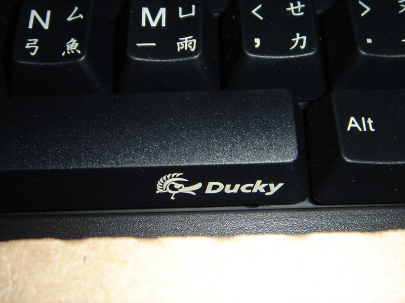 DUCKY15.JPG